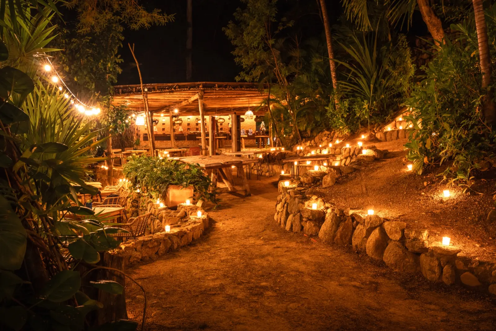 Rhythms Of The Night Alma Las Caletas Puerto Vallarta