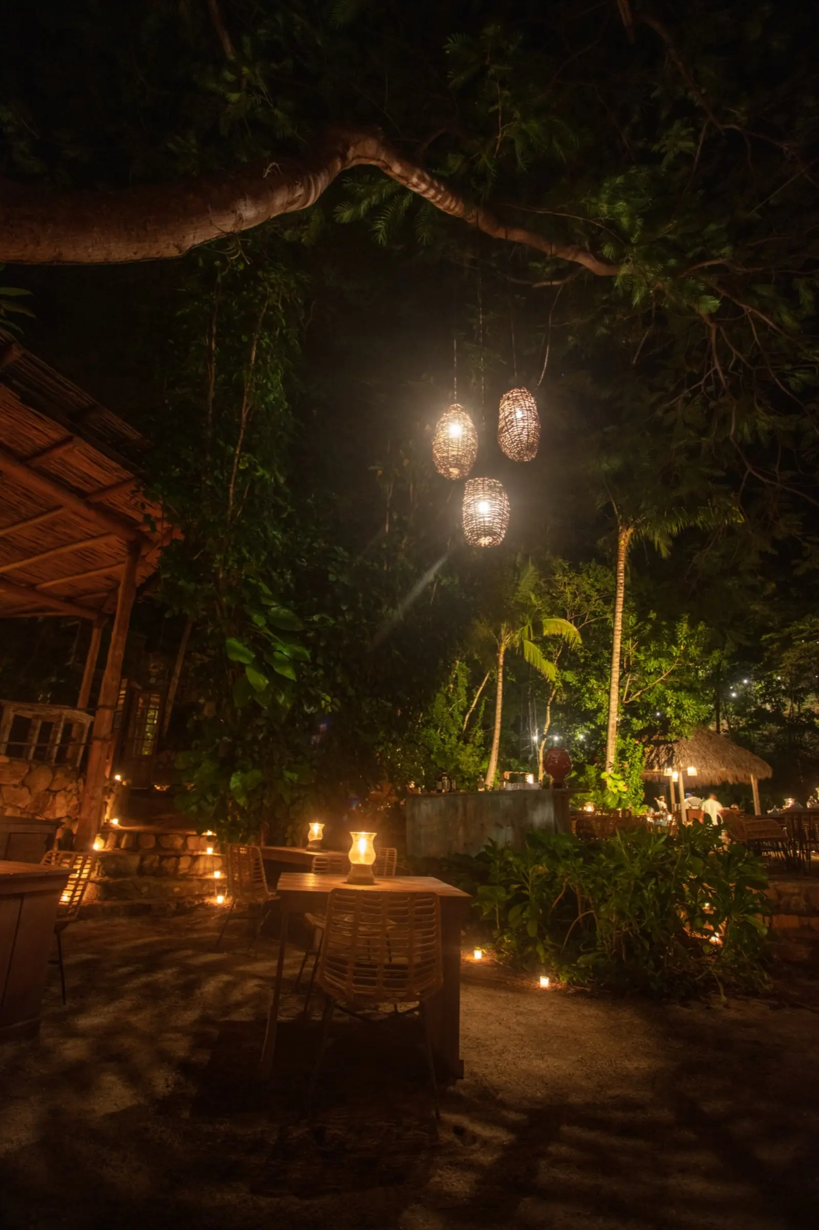 Rhythms Of The Night Alma Las Caletas Puerto Vallarta